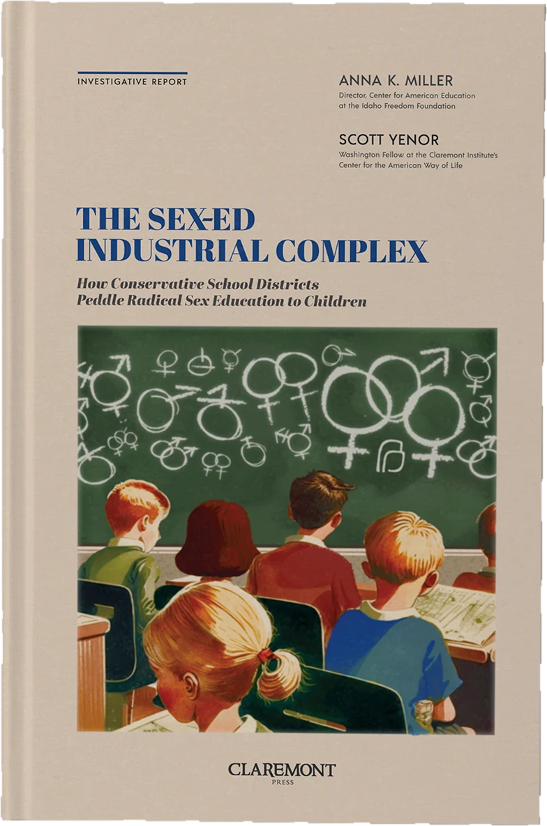 The Sex-Ed Industrial Complex cover